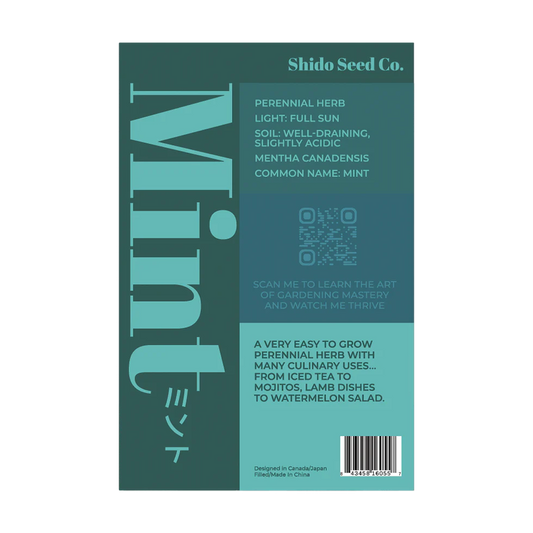 Mint Herb Seeds Packet