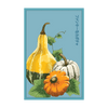 Funky Squash Vegetable Seeds Packet
