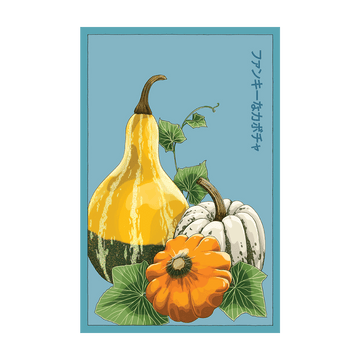 Funky Squash Vegetable Seeds Packet