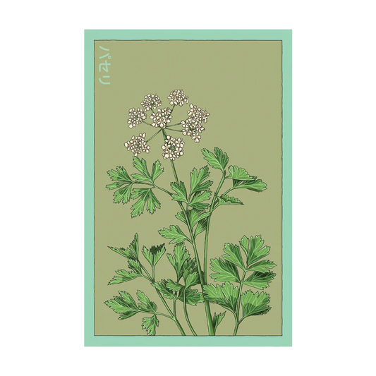 Parsley Herb Seeds Packet