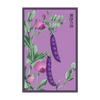 Purple Peas Vegetable Seeds Packet
