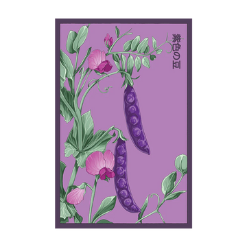Purple Peas Vegetable Seeds Packet