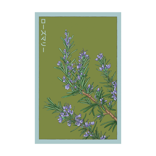 Rosemary Herb Seeds Packet