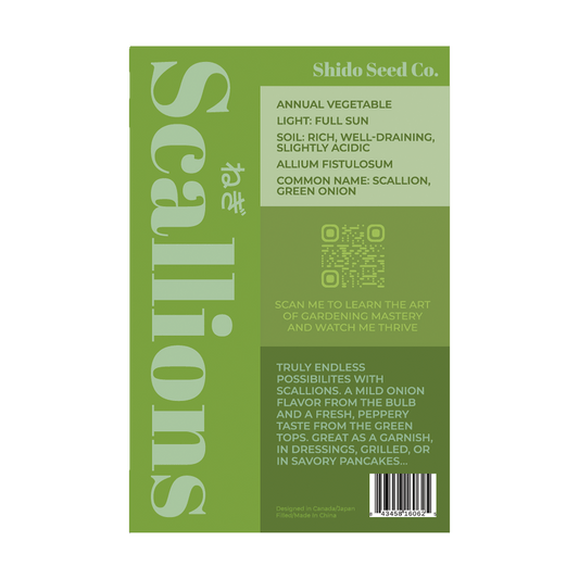 Scallions Vegetable Seeds Packet