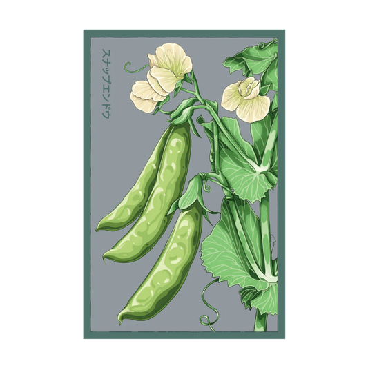 Sugar Snap Pea Vegetable Seeds Packet