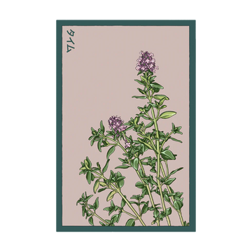 Thyme Herb Seeds Packet