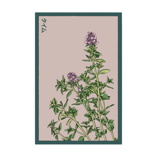 Thyme Herb Seeds Packet