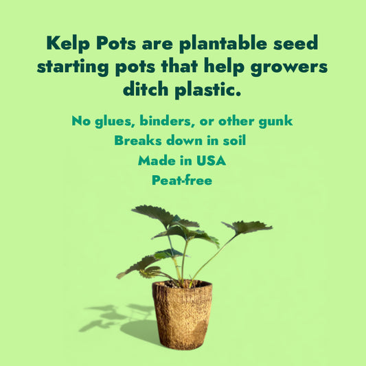 Ocean Made Kelp Pots | 3" Round (10 Pack)