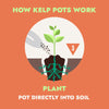 OceanMade Kelp Pots - 3" Round (10 Pack)