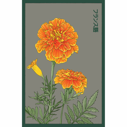 French Marigold Flower Seeds Packet