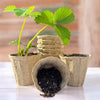 OceanMade Kelp Pots - 3" Round (10 Pack)