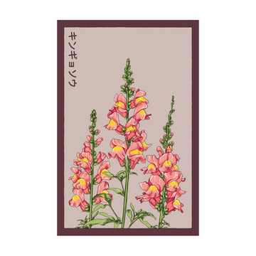 Snapdragon Flower Seeds Packet