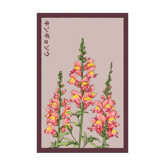 Snapdragon Flower Seeds Packet