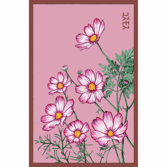 Cosmos Flower Seeds Packet